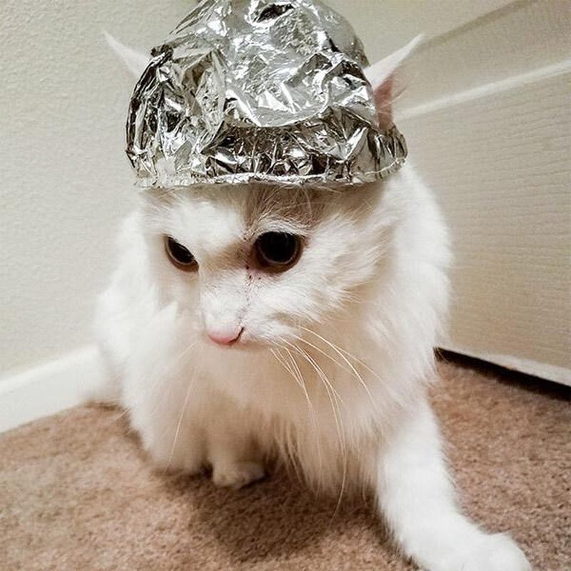 Archie McPhee - Tin Foil Hat For Cats