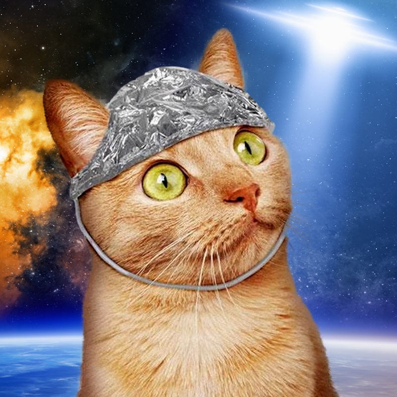 Tin Foil Hat For Cats - Unique Gift by Archie McPhee