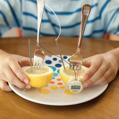 Lemon Powered Clock Experiment Stem Kit