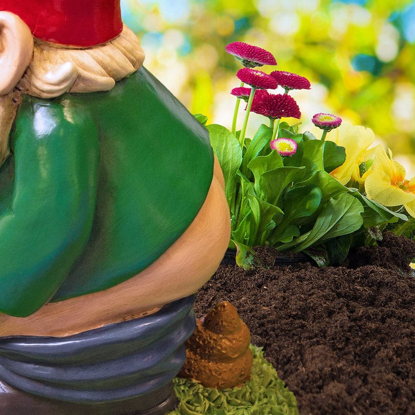 Pooping Garden Gnome