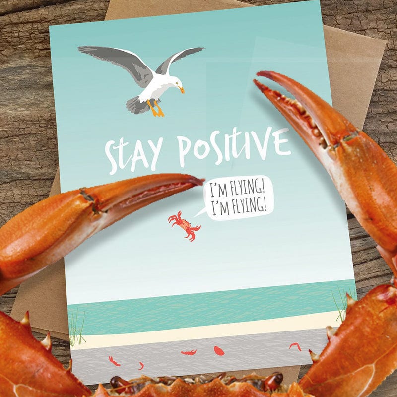 Seagull Dropping Crab Stay Positive Encouragement Greeting Card