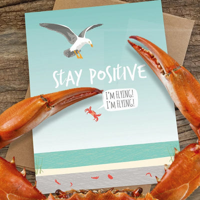 Seagull Dropping Crab Stay Positive Encouragement Greeting Card