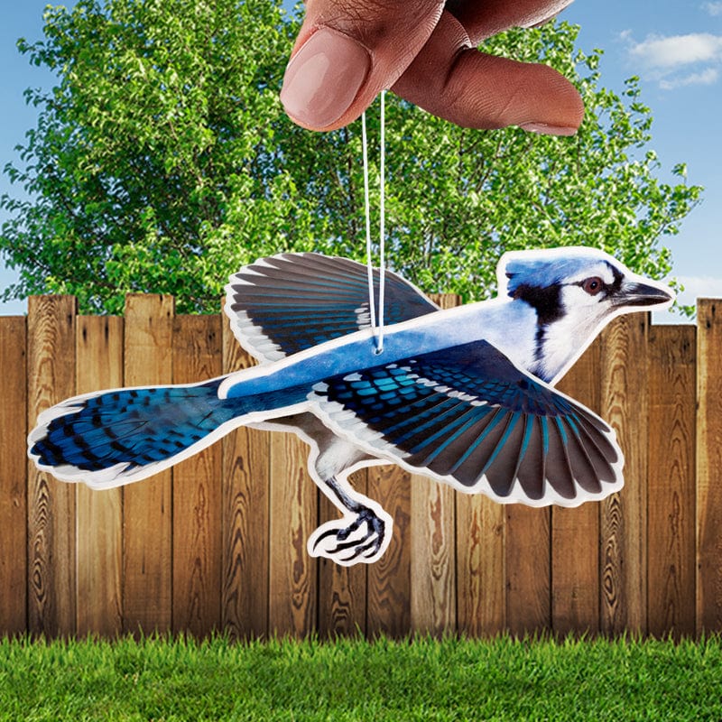 3D Blue Jay Air Freshener