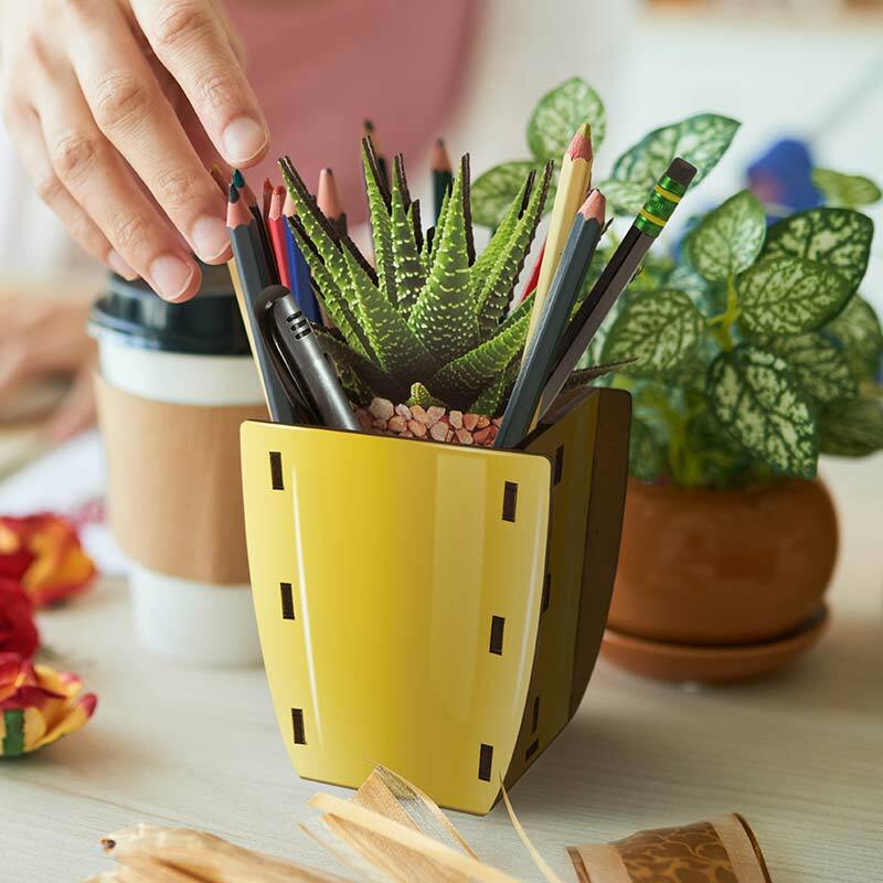Aloe Pop Plants Desk Caddy - Fred & Friends