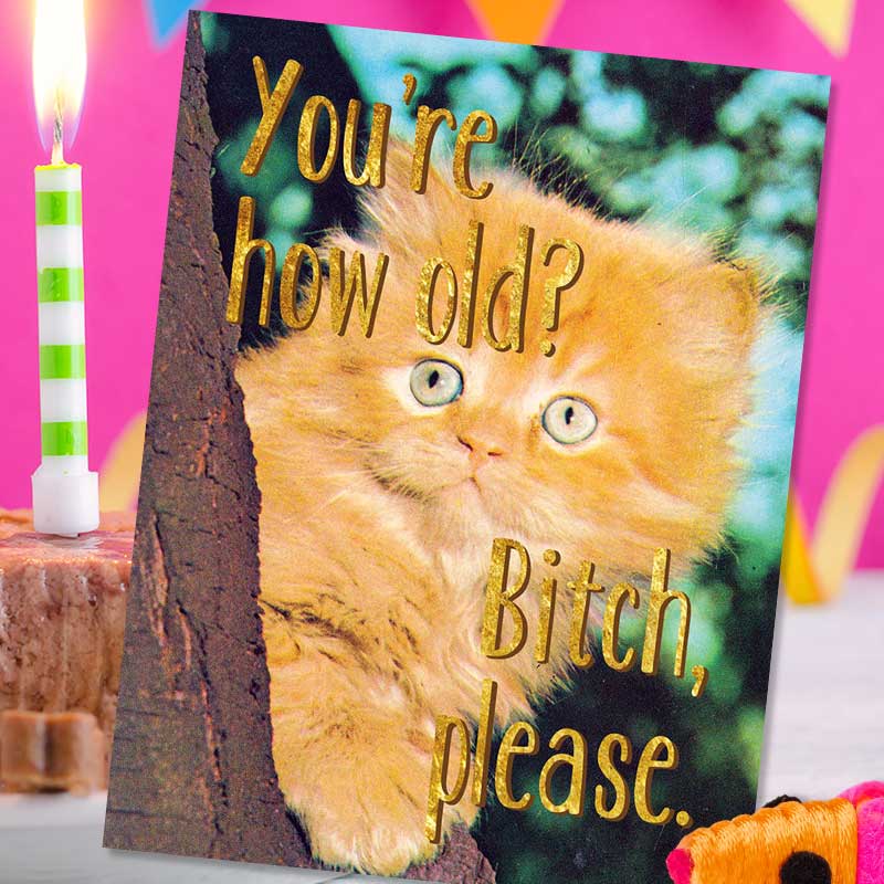 You're How Old? Bitch Please Birthday Card - Smitten Kitten