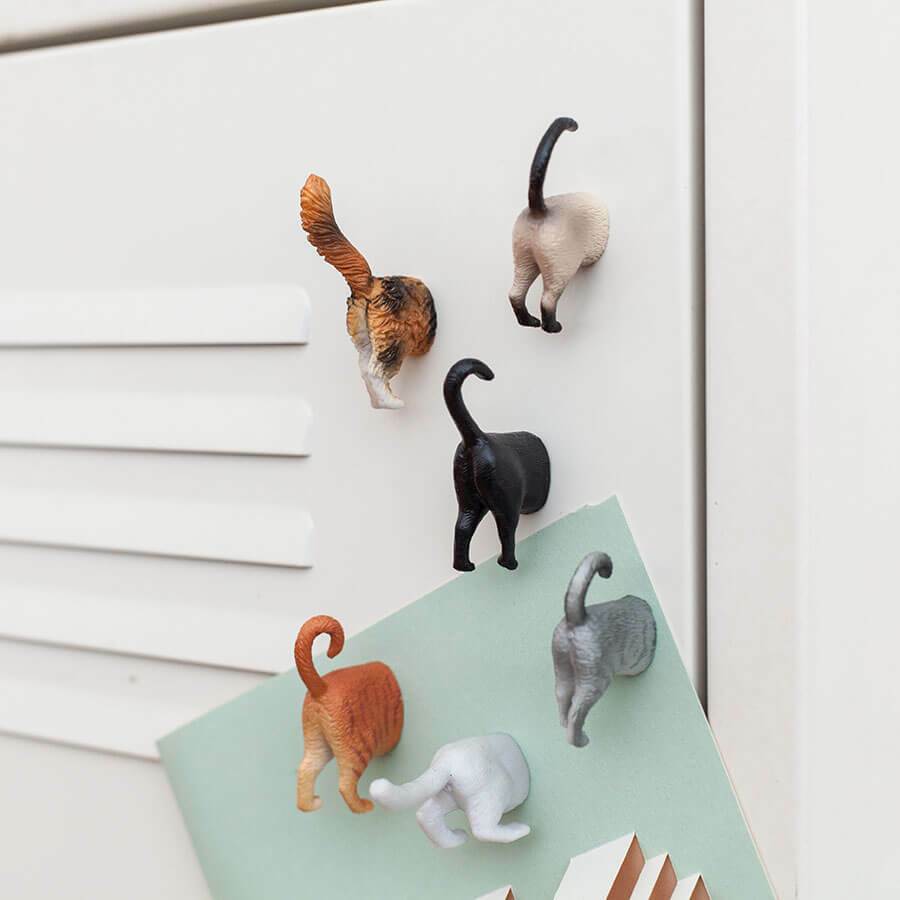 Cat Butt Magnets - Kikkerland