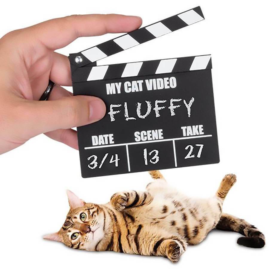Cat Video Clapperboard - Archie McPhee