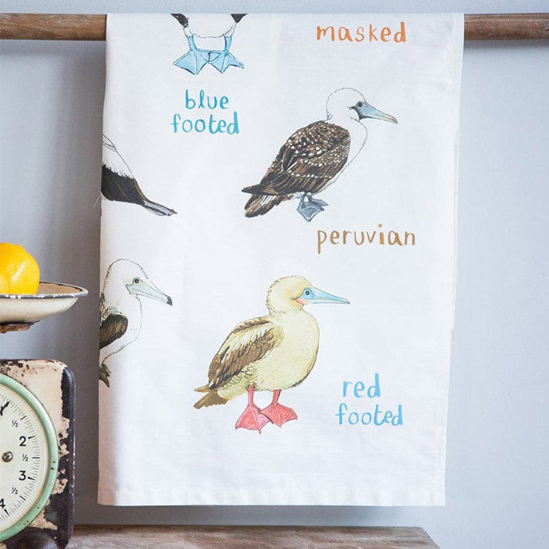 Booby Bird Fowl Language Dish Towel by Sarah Edmonds Illustration