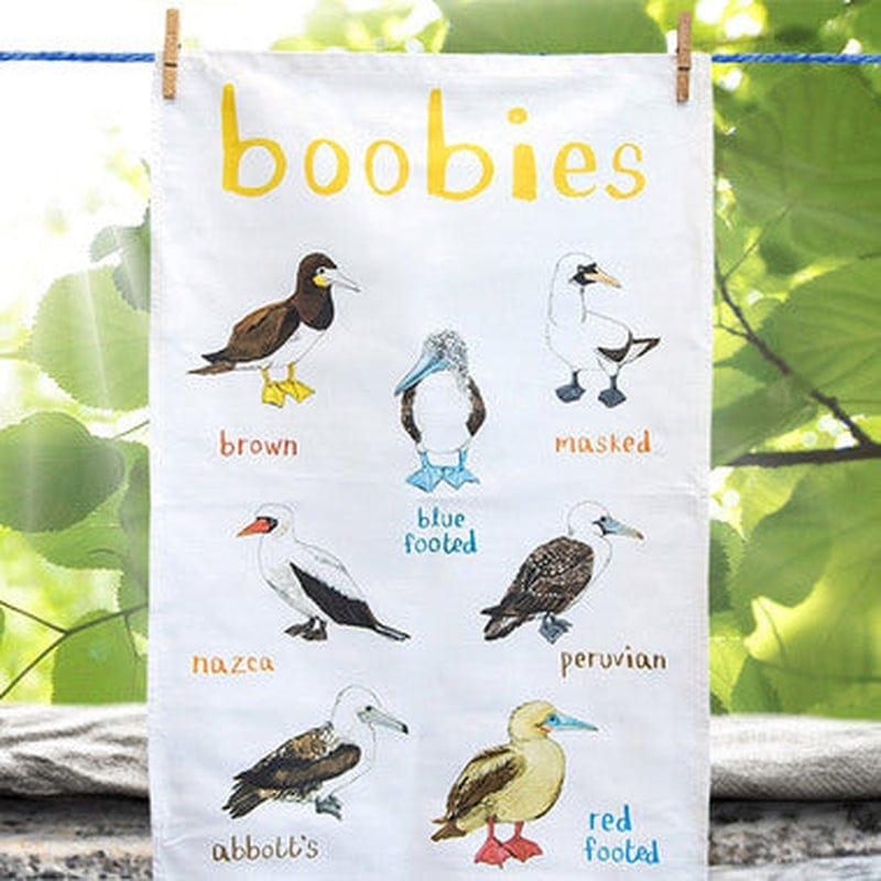 Tea Towel or Dish Towel? – Bird Etiquette