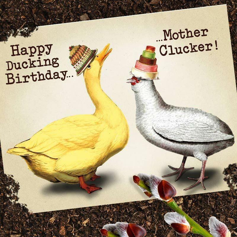 Happy Ducking Birthday, Mother Clucker Birthday Card - Oso + Bean