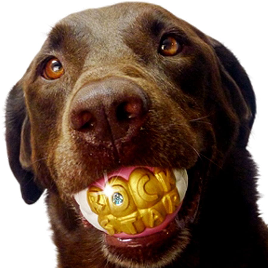 Humunga Bling Dog Fetch Toy