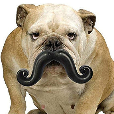 Humunga Stache Dog Fetch Toy - Moody Pet
