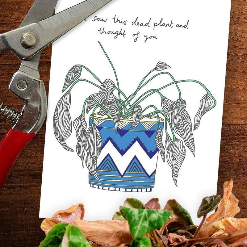 I Saw This Dead Plant And Thought Of You Greeting Card - You`ve Got Pen On Your Face