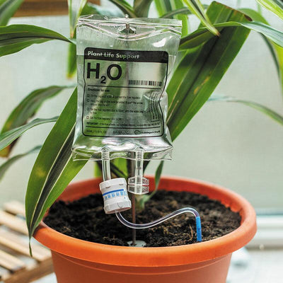 IV Plant Life Support Drip - Bubblegum Stuff