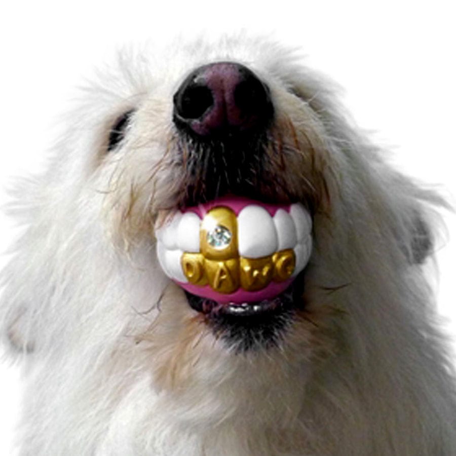 Humunga Bling Dog Fetch Toy Ball With Gold Teeth FRIVVY