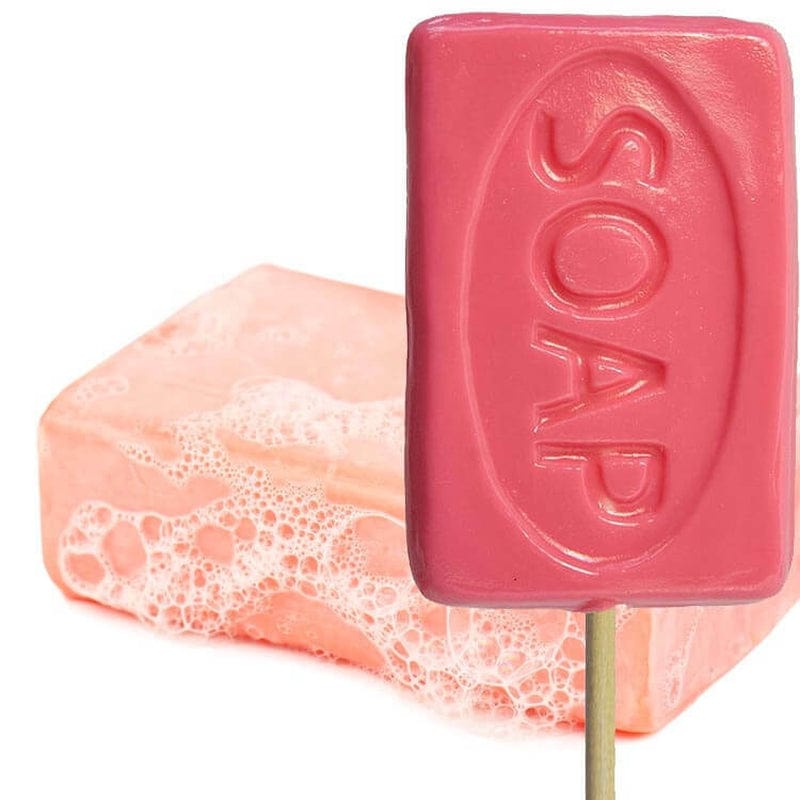 Wash Your Dirty Mouth Out Candy Soap Lollipops - Melville Candy