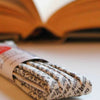 Bibliophile Bookworm Shoelaces by Cute Laces