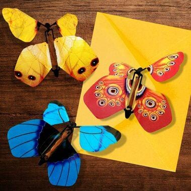 Flying Butterfly Greeting Card Insert by Exclusive
