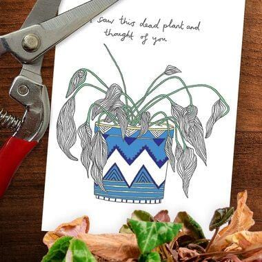 I Saw This Dead Plant And Thought Of You Greeting Card by You`ve Got Pen On Your Face