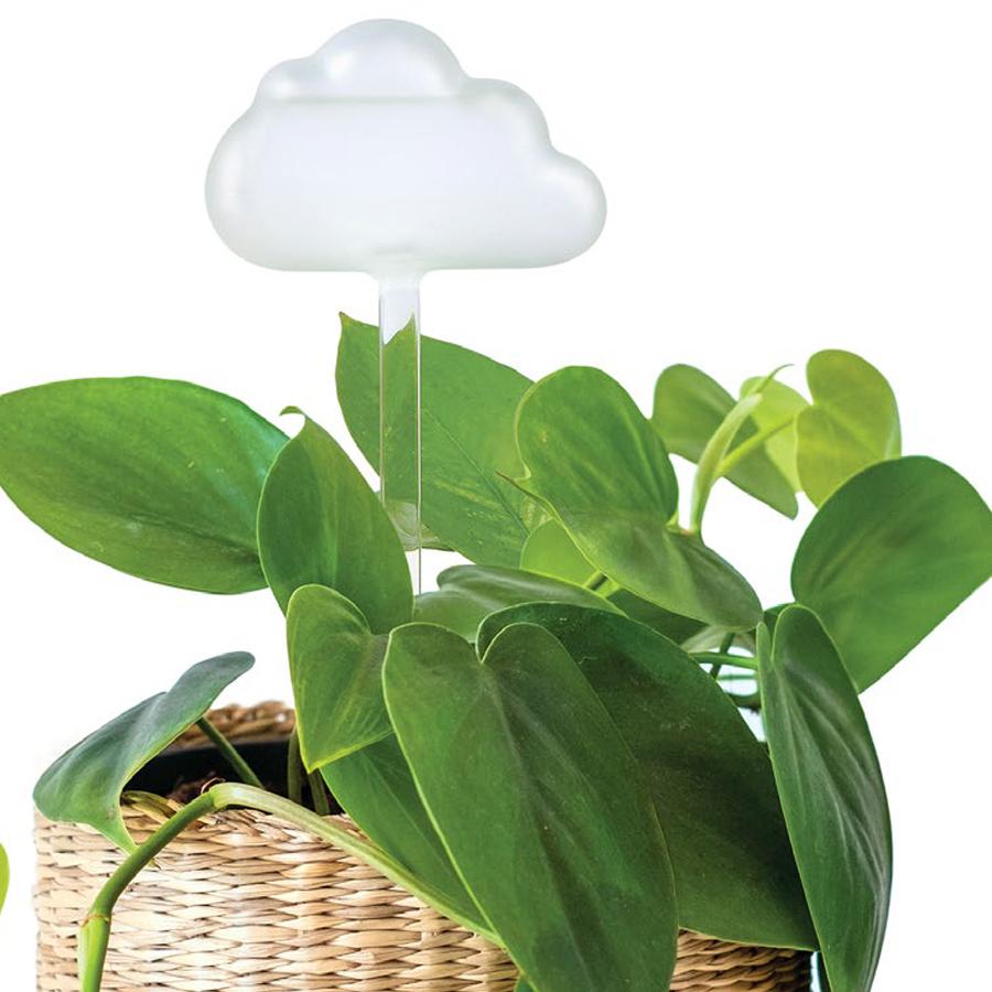 Rain Cloud Plant Waterer - Fred & Friends