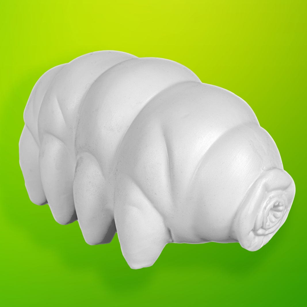 Tardigrade Night Light