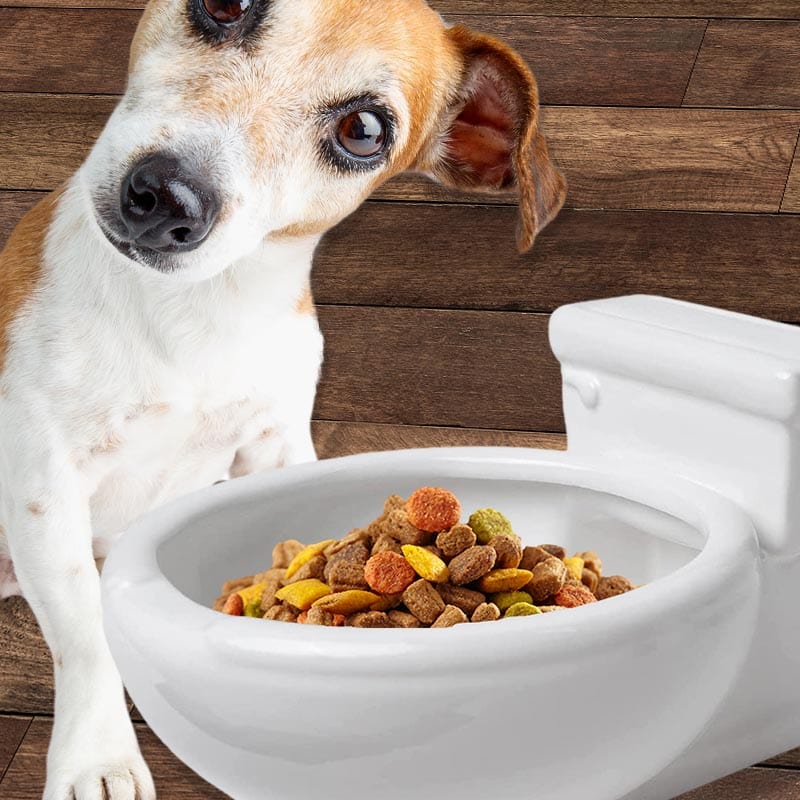 Kwirkworks - Toilet Bowl Pet Bowl