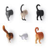 Cat Butt Magnets - Unique Gift by Kikkerland
