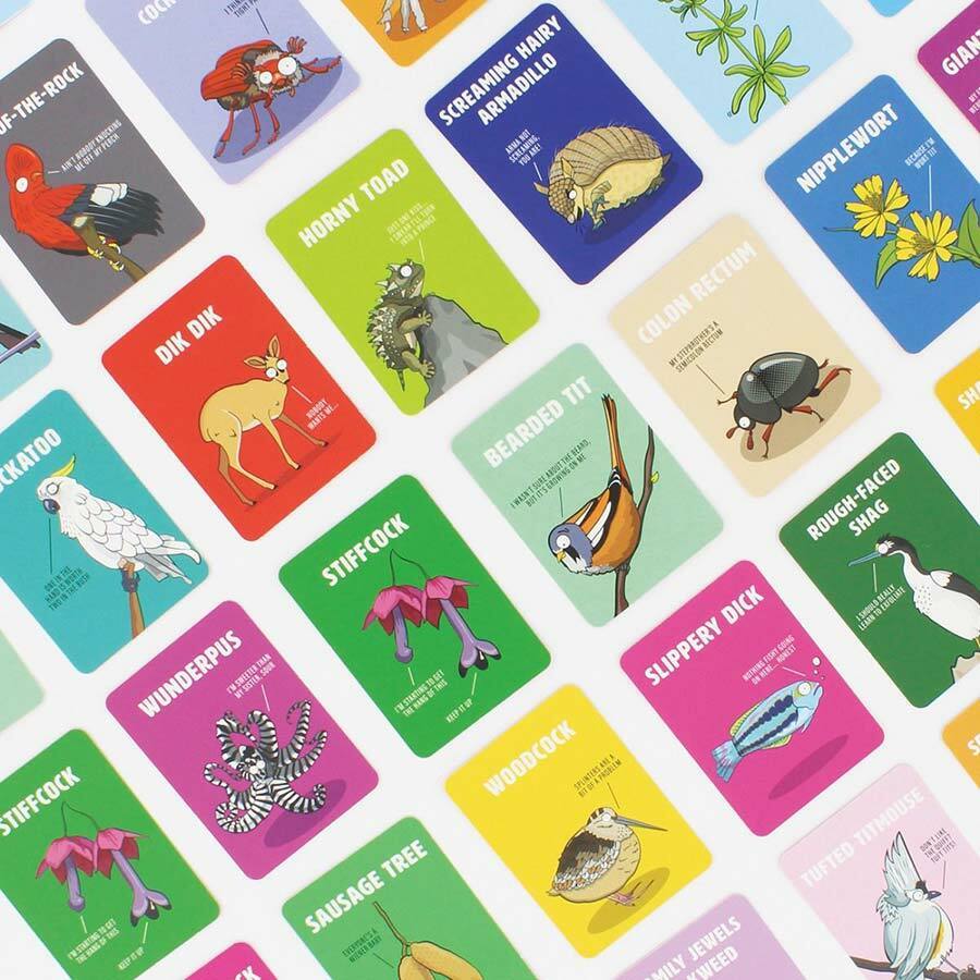 Don't Be A Dik Dik Card Game - Unique Gift by Ginger Fox