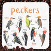Peckers Fowl Bird Coaster - Unique Gift by Sarah Edmonds Illustration