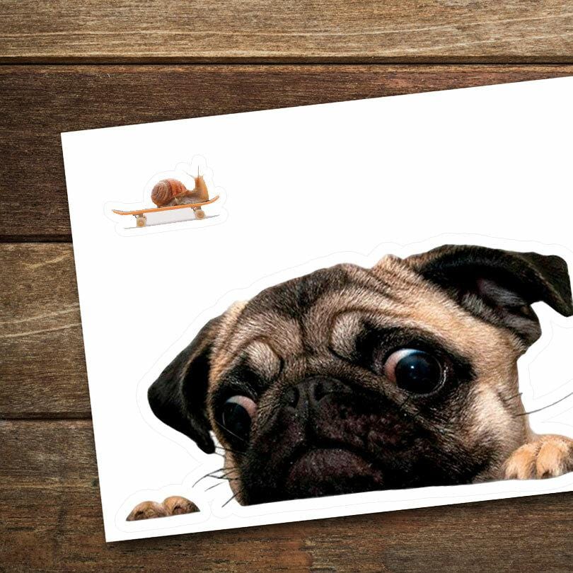 Portable Pug - Unique Gift by Exclusive