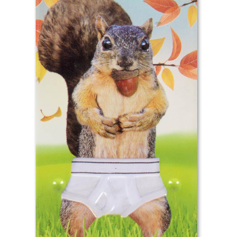Squirrel in Underpants Mints