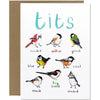 Tit Bird Fowl Greeting Card - Unique Gift by Sarah Edmonds Illustration