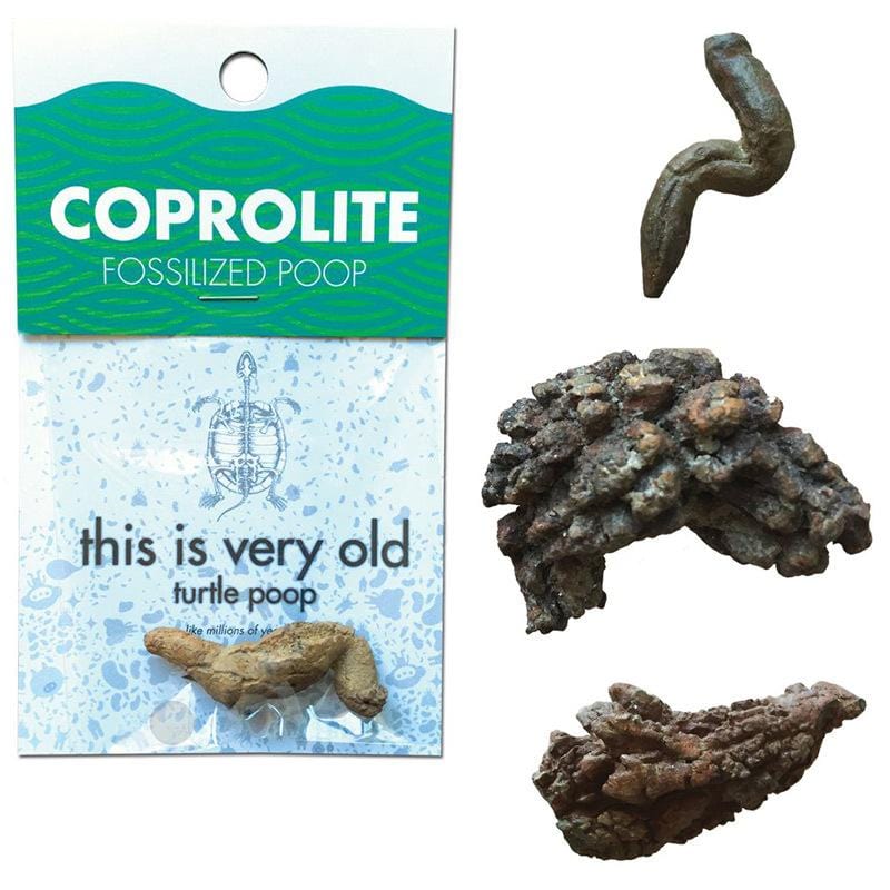 Turtely Awesome Turtle Poop - Unique Gift by Copernicus Toys