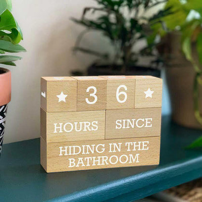 Who's Counting? Parenting Problems Countdown Blocks - Fred & Friends